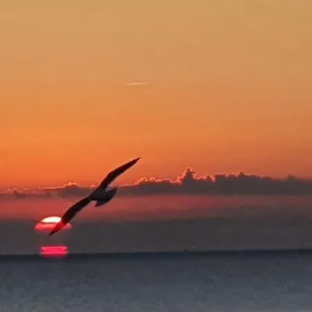 Appartement Le Chant Des Vagues *